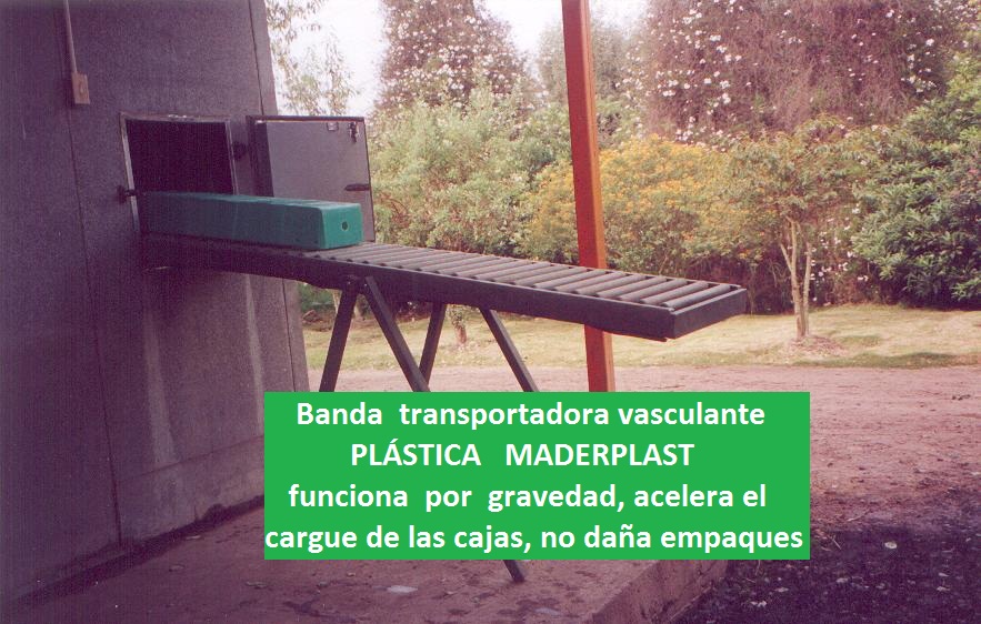 bandas trasportadora para postcosecha bandas trasportadoras cultivos de flores banda trasportador cinta transportador de flores de corte banda cultivos de cosechas de viveros tecnificados 00000 bandas trasportadora para postcosecha bandas trasportadoras cultivos de flores banda trasportador cinta transportador bandas trasportadora para postcosecha bandas trasportadoras cultivos de flores banda trasportador cinta transportador de flores de corte banda cultivos de cosechas de viveros tecnificados 00000 de flores de corte banda cultivos de cosechas de viveros tecnificados 00000